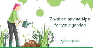 7 water saving tips for your garden