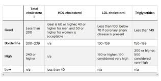 Know The Cholesterol Levels And Ranges According To Your Age
