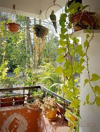 Indian Balcony Garden Home Garden