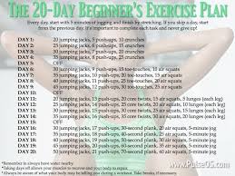 Workout Plan For Beginners Workout For