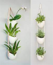 Indoor Hanging Plants Ideas