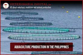 aquaculture ion in the philippines