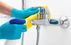 cleaning bathroom mold with bleach