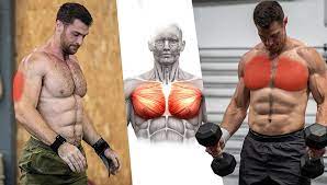 best chest and triceps workout for a