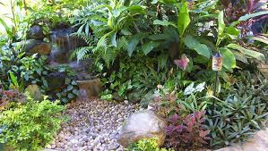 What Is Tropical Landscaping