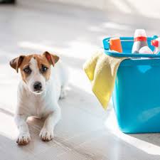 8 pet safe floor cleaners and diy