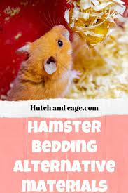 hamster bedding alternative materials