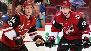 Top Prospects For Arizona Coyotes