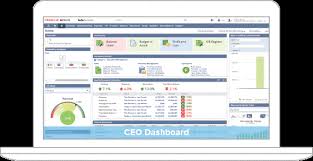 Custom dashboards can be developed for specific roles within the company and published to. Netsuite Erp The Worlds 1 Business Management Software