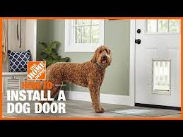 how to install a dog door