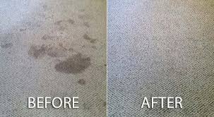 venice carpet cleaning services