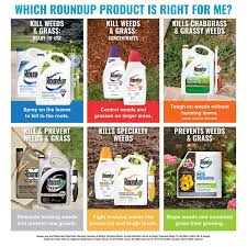 Roundup 5100610 Weed Grass Killer Concentrate Plus 36 8 Oz 32 Oz