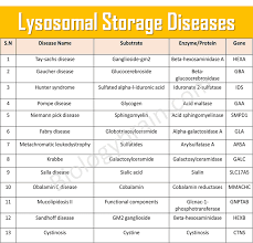 what are lysosomal storage diseases