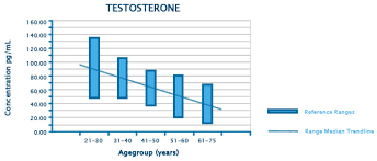 All You Need To Know About Testosterone
