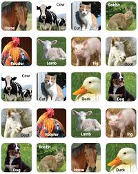 Farm Animals Theme Stickers