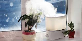 a humidifier in the cold winter months
