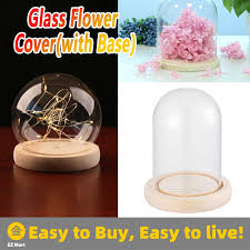 Clear Glass Display Dome Cover Cloche
