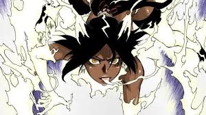 bleach what is yoruichi s cat form