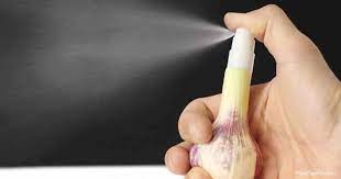 how to make garlic spray for pests