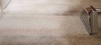the 1 carpet cleaning in bremerton 5