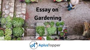 essay on gardening gardening essay