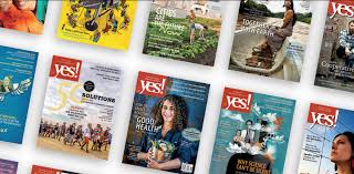 We did not find results for: About Yes Yes Magazine