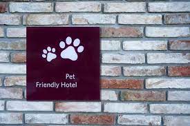 8 most dog friendly hotels in usa pet