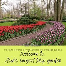 tulip garden srinagar opens 19 march
