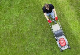 lawn striping 6 things to know before