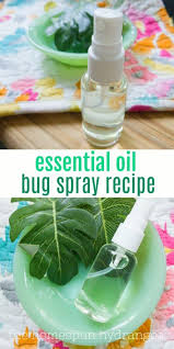 diy homemade bug spray recipe the