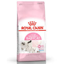 royal canin kitten dry cat food 400 g