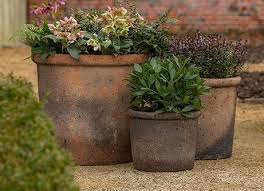 Garden Pots And Containers Rhs Plants