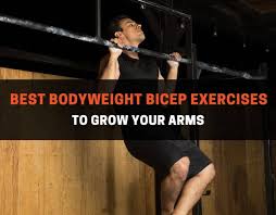 10 best bodyweight bicep exercises to