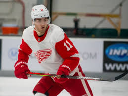He protects the puck well. Filip Zadina Talking First Pro Year Development And His Goals For This Season The Hockey News On Sports Illustrated