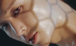 1969 july, bob dylan, lay lady lay, nashville skyline, columbia: Exo S Lay Zhang Enchants With His Sleek Moves In Mv For Honey