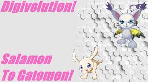 Digivolution! Salamon - Plotmon digivolve to Gatomon - Tailmon! - YouTube