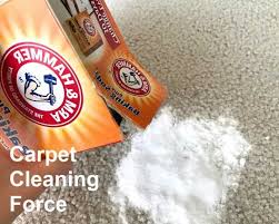 how to remove pet stains and odors