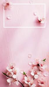 Flower Iphone 7 Plus Wallpaper