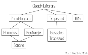 How I Teach The Quadrilateral Family Tree Teaching Math