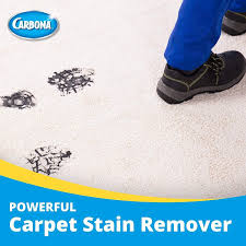 carbona carpet cleaner with brush oxy