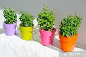 Sticker Colorful Flower Pots With Herbs