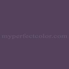 Color Your World 50rb09 156 Purple Haze