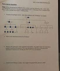 B is the correct answer. Solved Lab 1 2 Sex Linked Inheritance3 Part 2 Review Qu Chegg Com