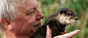 Sir david attenborough breaks jennifer aniston's instagram record with more than 1 million followers in less than 4 hours. Meet Your New Geography Teacher Sir David Attenborough World Economic Forum
