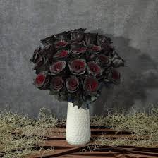 black roses meaning symbolism bouqs