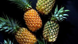 eating pineapple