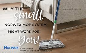 the small norwex mop system might work
