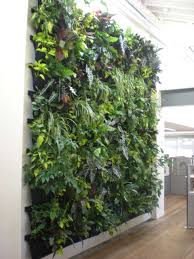10 great ways to grow your walls green add life—literally!—to an interior space with a visually stunning vertical wall garden. Indoor Vertical Garden Houzz