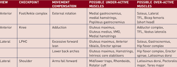 Suggested Guidelines For Movement Compensations And Or
