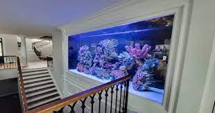 aquacustomfishtanks.com gambar png